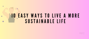 Read more about the article Live a More Sustainable Life: 10 Easy Ways to Embrace Sustainability